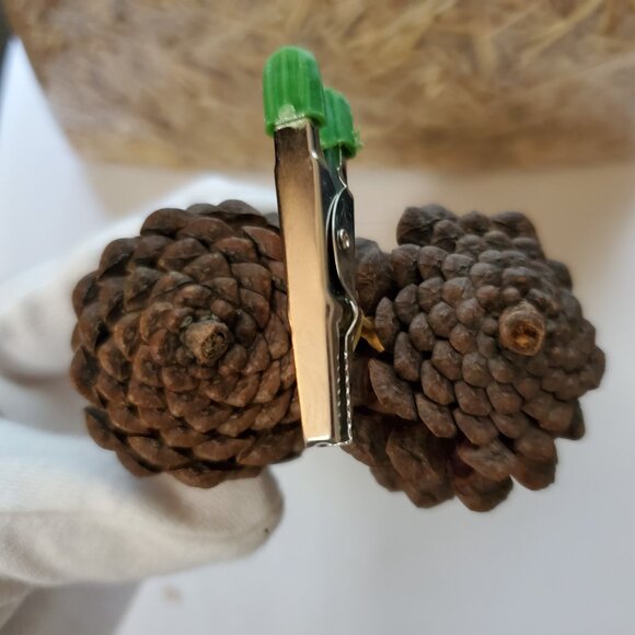 Natural Unscented Wooded Pinecone Clip Ornaments – Holiday Décor – Set of (2) - Picture 4 of 6